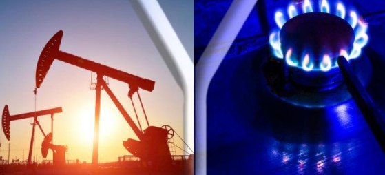 Цената на природния газ на газовия хъб в Холандия Ти